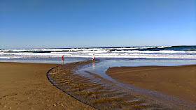 Melissa Kaylene // Photos from  Lincoln City, Oregon