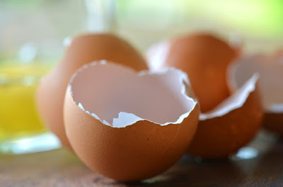 17 Amazing uses of the egg shell