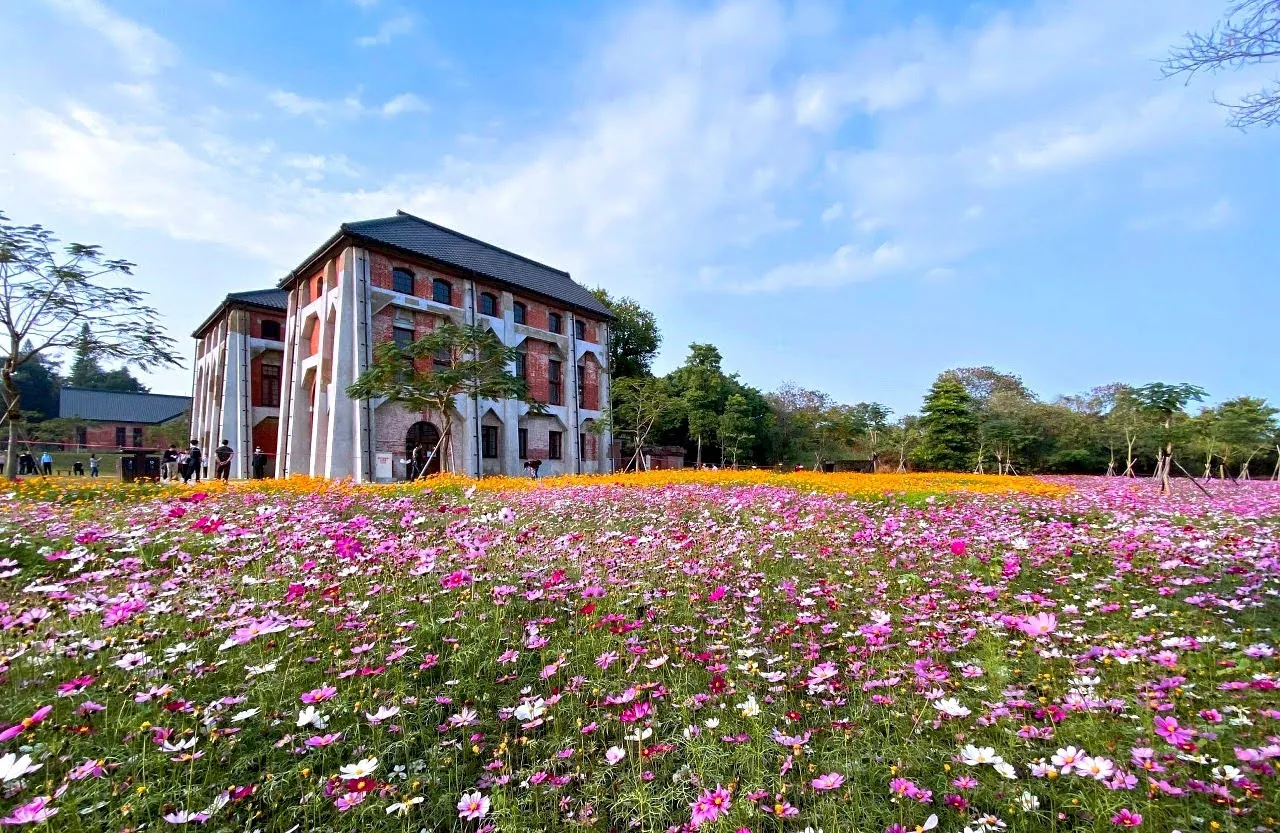 山上花園水道博物館遍地開花｜年節離開人群市區賞花趣