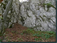 DSCN8385