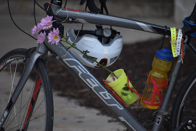 Flower on bike