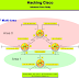 Lab 8 - OSPF Filtering with Distribute-List