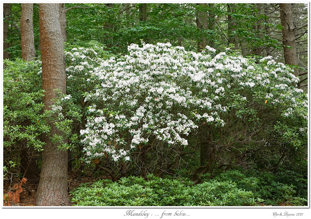 Maudslay: ... from below...