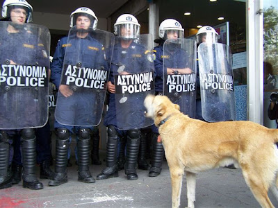 The Return of the Riot Dog