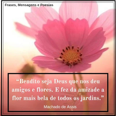 Frase de Machado de Assis