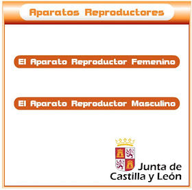 http://www.educa.jcyl.es/educacyl/cm/gallery/Recursos%20Infinity/juegos_jcyl/cuerpo_rep/home2.html