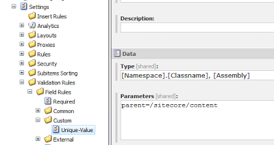 custom field validation rule