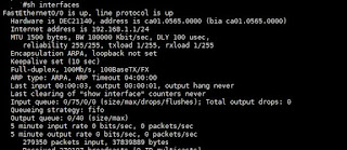 Top Basic troubleshooting commands for Routings - Show Interface