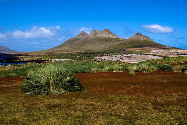 Beautiful Falkland Islands