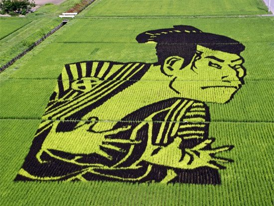 Rice Art in Japan