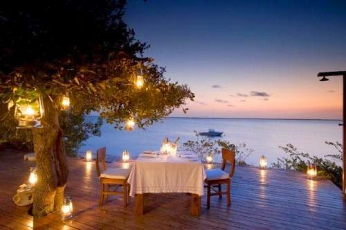 Herbs For Love And Romance
