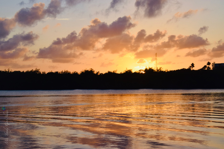 Florida Sunsets - Ms. Toody Goo Shoes