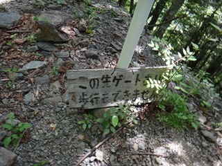 363DSC05207-363