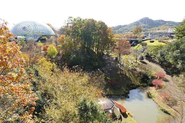 鳥取県西伯郡南部町鶴田 とっとり花回廊 花の丘