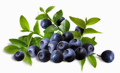 Amazing Bilberry Fruit Health Benefits