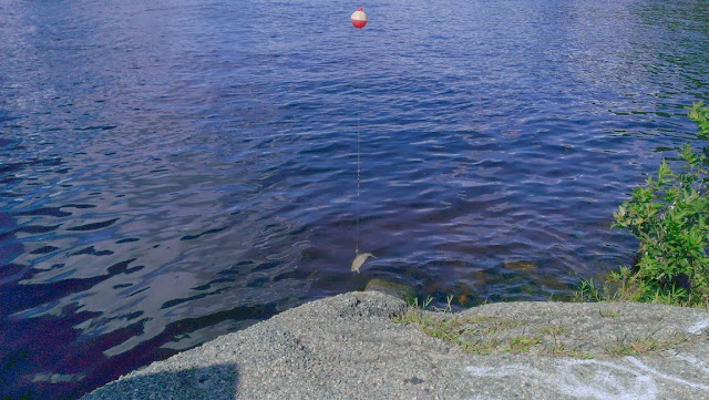 fishing on a clear blue day