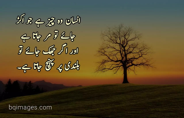 Best Quotes About Insaan