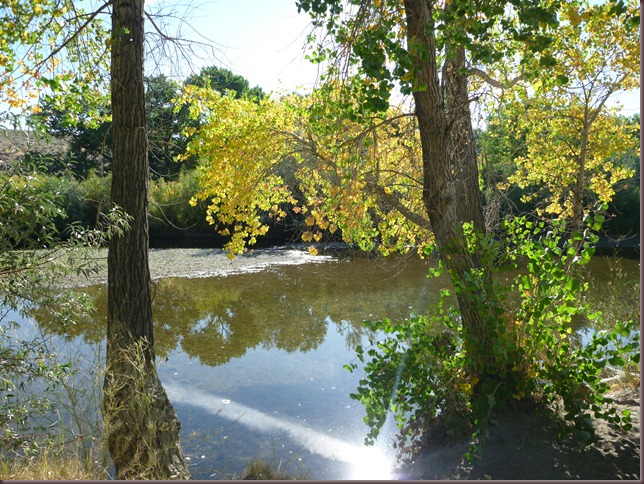 Autumn In Carson 54