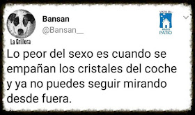 Lo peor del sexo es cuando se empañan los cristales del coche y ya no puedes seguir mirando desde fuera