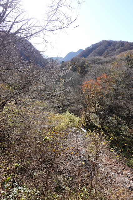 鳥取県西伯郡大山町 大山環状道路 阿弥陀川