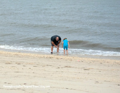 Hunting for Cape May Diamonds on Higbee Beach