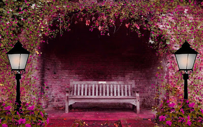 bench-flowers-garden-walls-pictures