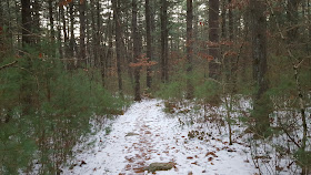 snow covered trail in the Franklin Town Forest along Summer St