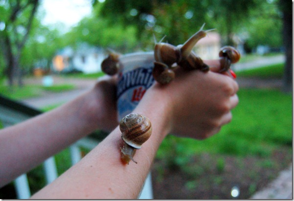 snails5