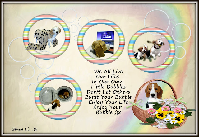 My Beagle Smiles,My Poems My Quotes