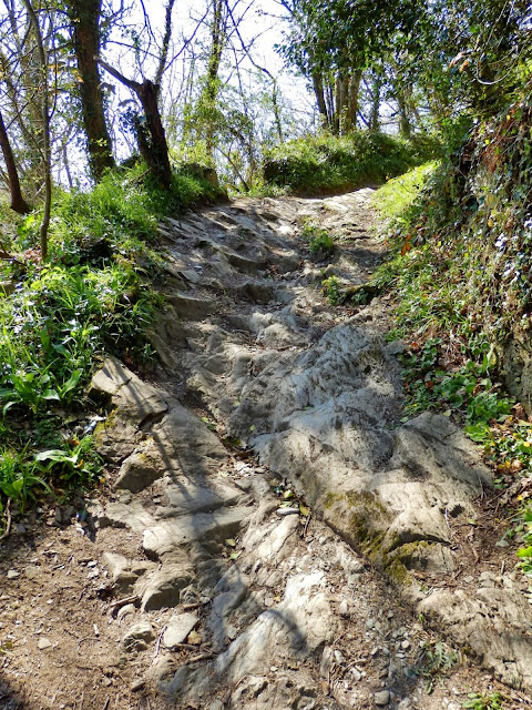 Footpath on Hall Walk, Cornwall