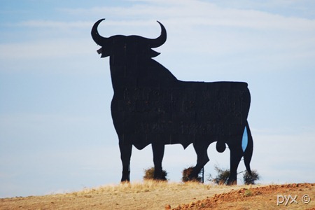 toro carretero