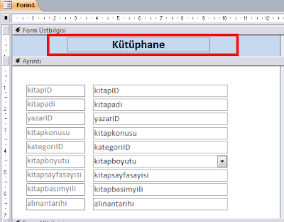 Access Form Tasarımı