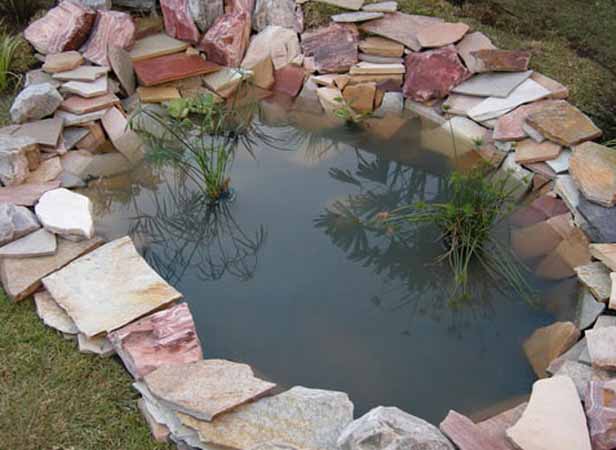 How to Create Your Own Fish Pond for Small Garden Ideas