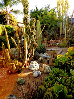 Landscape Design Riverside Ca