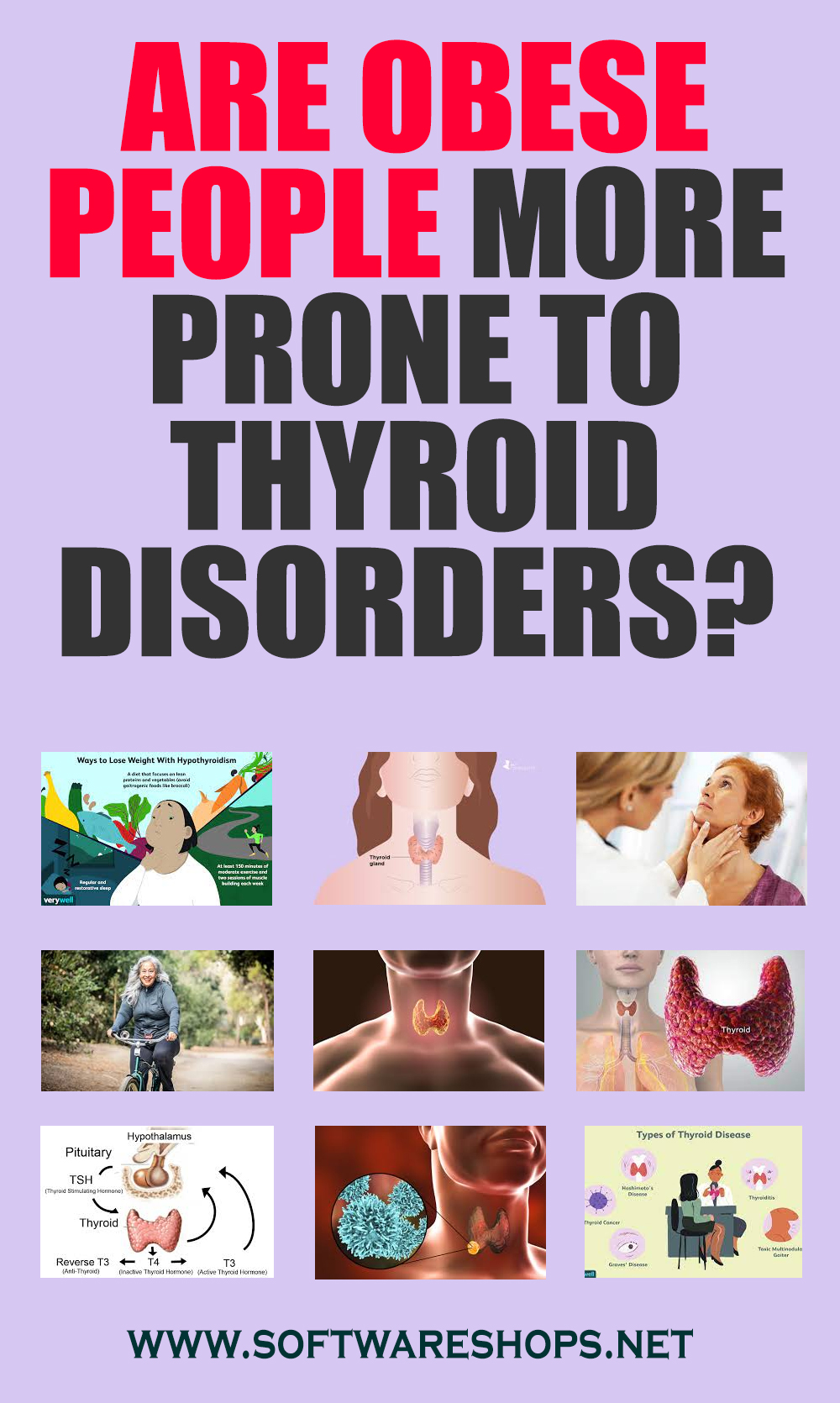 Are Obese People More Prone To Thyroid Disorders?