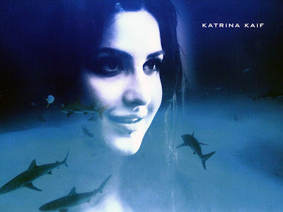 Bollywood Latest Movie 'Blue' Wallpapers, Stills: Katrina Kaif, Akshay Kumar