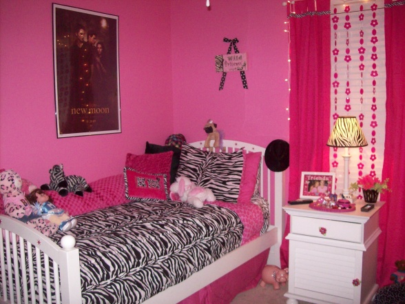 Girls Zebra Bedroom Ideas