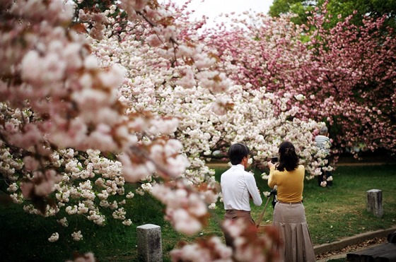 // photo by kaori.ikt //