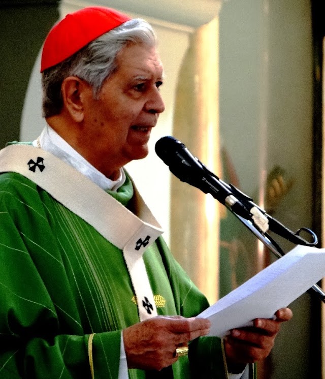 El Cardenal Urosa pide tomar medidas frente al accionar de “grupos armados”