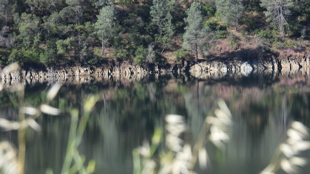 Day 7 - Yosemite (1)