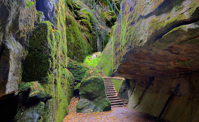 Laberintos del paraíso - Labyrinths of paradise