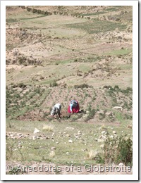 Villagers working on farmland
