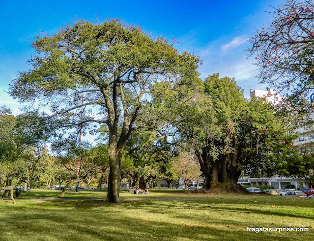 Parque Juan Zorrilla de San Martín, Montevidéu