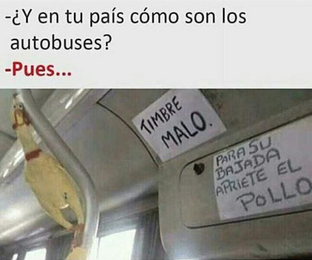 Los autobuses en mi país