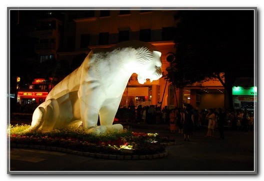 ImageView_011