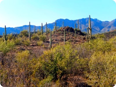 Sweetwater Preserve