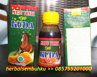 JUAL MADU TONIK CAP KUDA DI SURABAYA SIDOARJO JAKARTA MOJOKERTO JOMBANG PARE KEDIRI