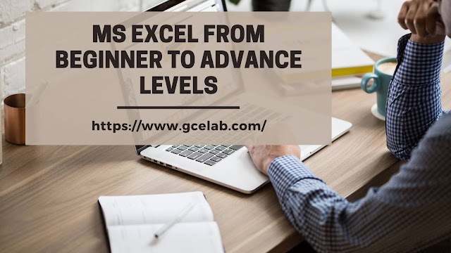 MS Excel From Beginner To Advance Levels