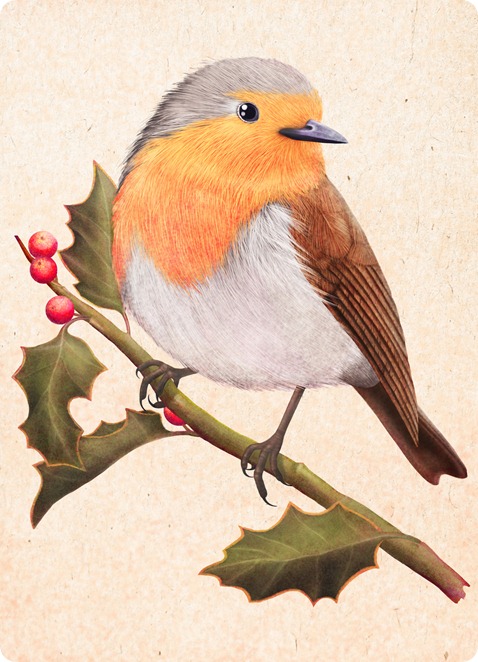 robin on a holly  tree by Maria Khersonets