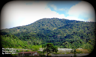 Marina Chalet and Homestay, Kampung Taman Sedia, Tanah Rata, Brinchang, Cameron Highlands,http://marinachalet.blogspot.com/